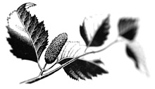 06-23